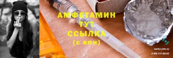 шишки Алзамай