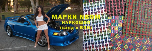 шишки Алзамай