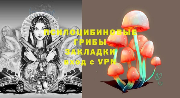 гидропоника Аркадак